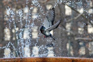 北極寒潮襲擊美國(guó) 導(dǎo)致美國(guó)東北部學(xué)校停課