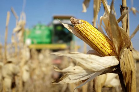 烏克蘭戰(zhàn)爭加劇全球糧食危機 不要將俄羅斯排除在