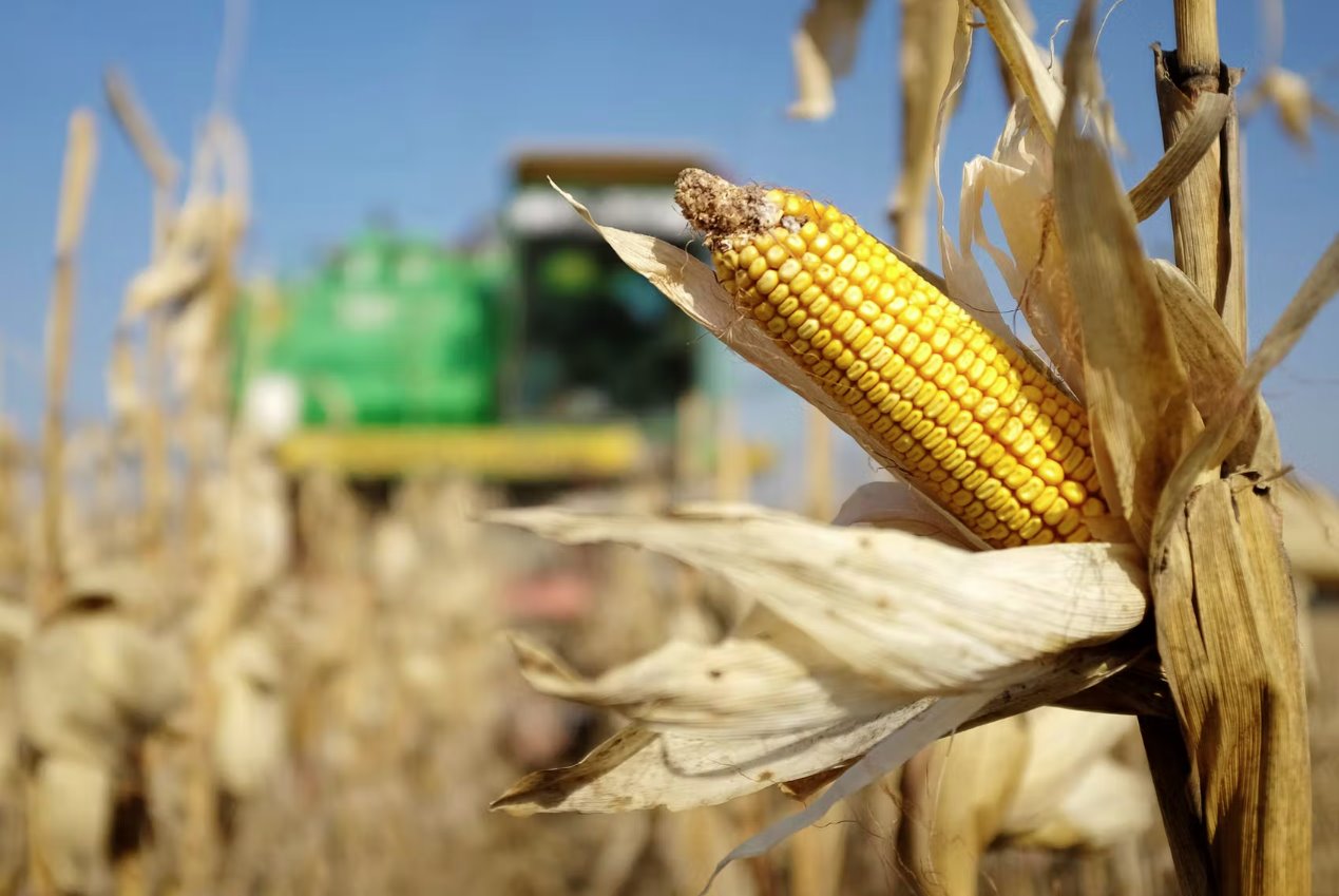 烏克蘭戰(zhàn)爭加劇全球糧食危機(jī) 不要將俄羅斯排除在G20之外