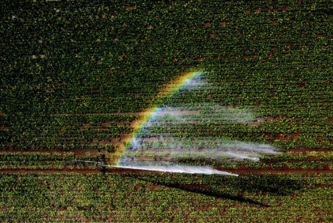 英國干旱嚴(yán)重 約克郡水務(wù)公司將從8月26日起實(shí)施軟管