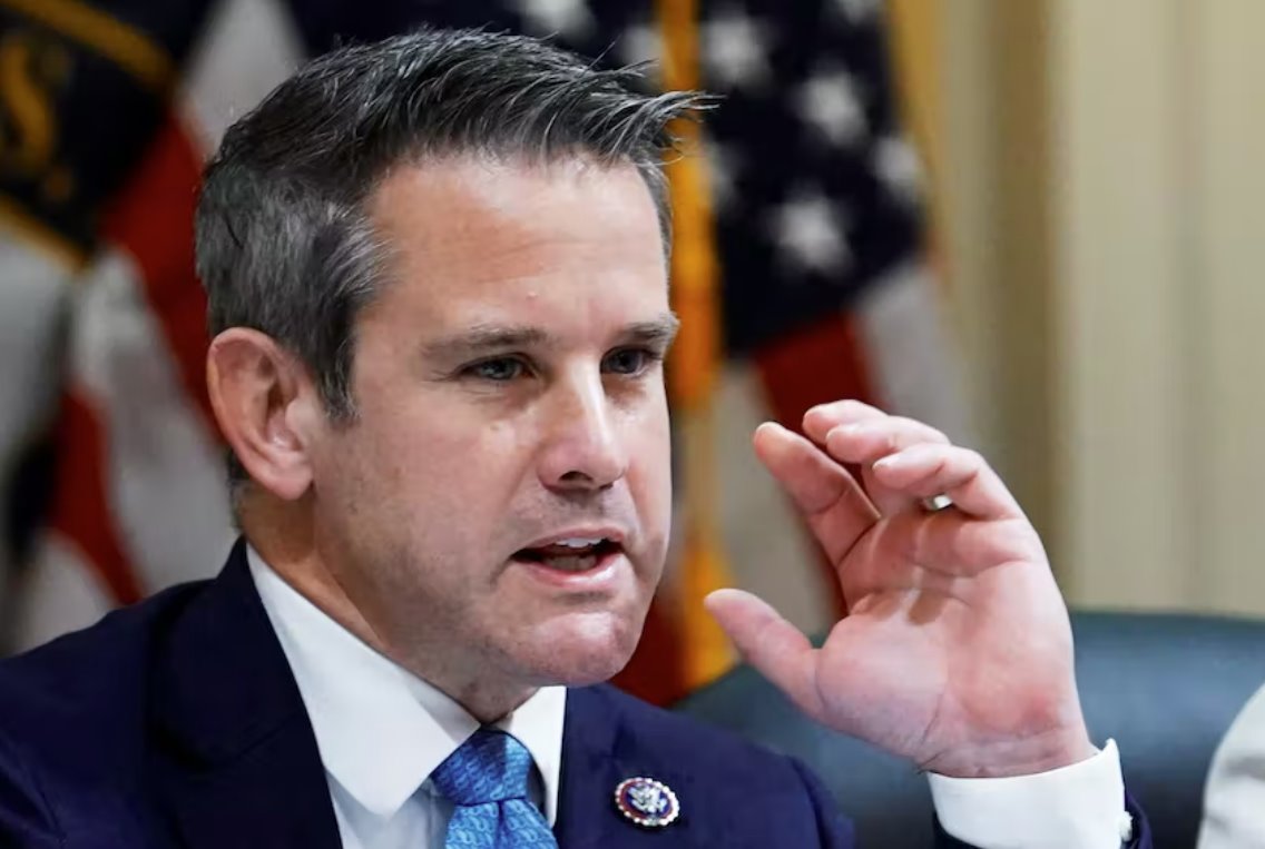 國會議員金辛格說 共和黨人為特朗普辯護(hù)是“虛偽的”