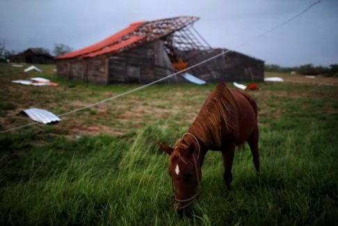 颶風(fēng)伊恩摧毀古巴電網(wǎng) 古巴慢慢開始恢復(fù)供電