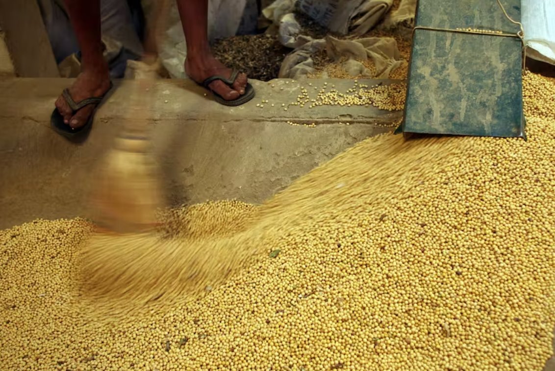 玻利維亞因人口普查延誤而罷工使農(nóng)業(yè)出口中心癱瘓