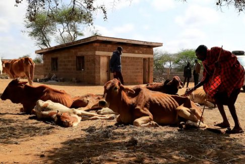 蓋茨基金會(huì)承諾為非洲提供70億美元應(yīng)對(duì)氣候變化