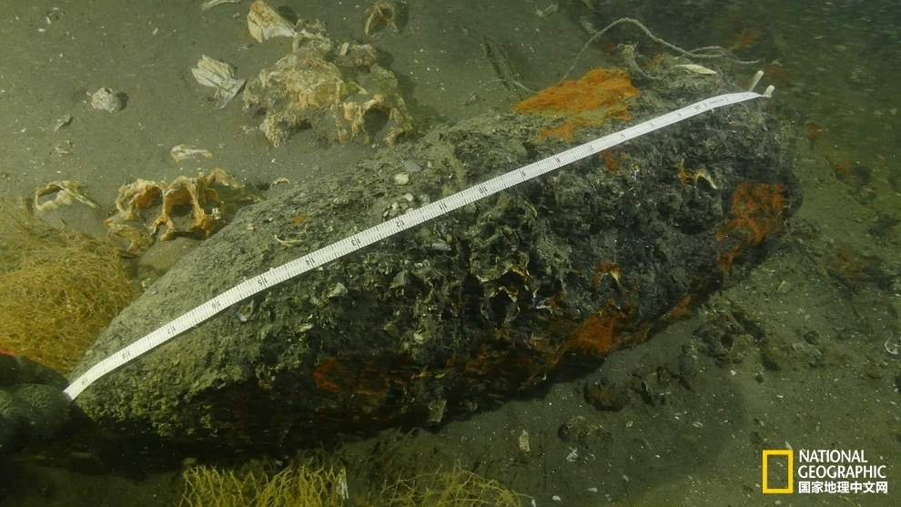 甲午戰(zhàn)爭沉艦發(fā)現(xiàn)大口徑炮彈