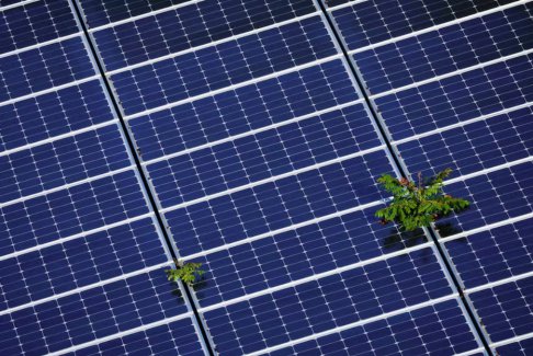 美國啟動70億美元計劃為低收入家庭提供太陽能