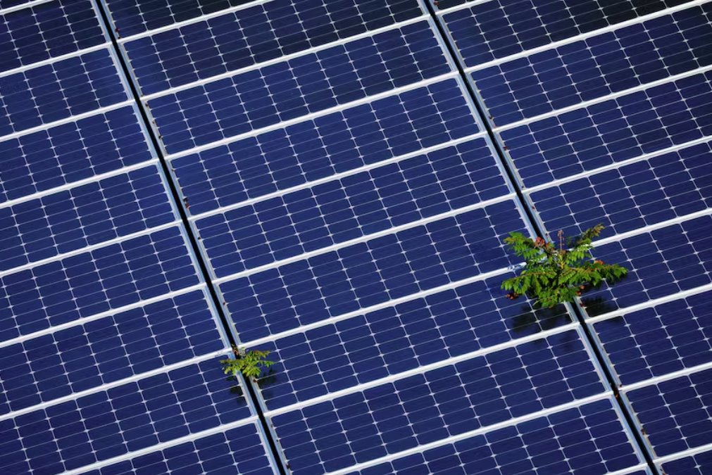 美國啟動70億美元計劃為低收入家庭提供太陽能