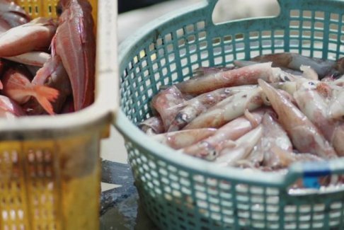 福島核廢水：在科學(xué)數(shù)據(jù)面前 居民仍恐懼看不見(jiàn)的敵