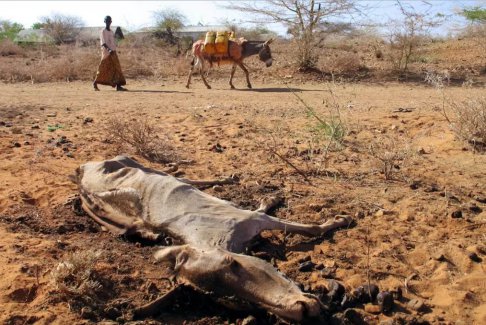 國(guó)際貨幣基金組織表示 氣候變化可能會(huì)增加沖突死亡