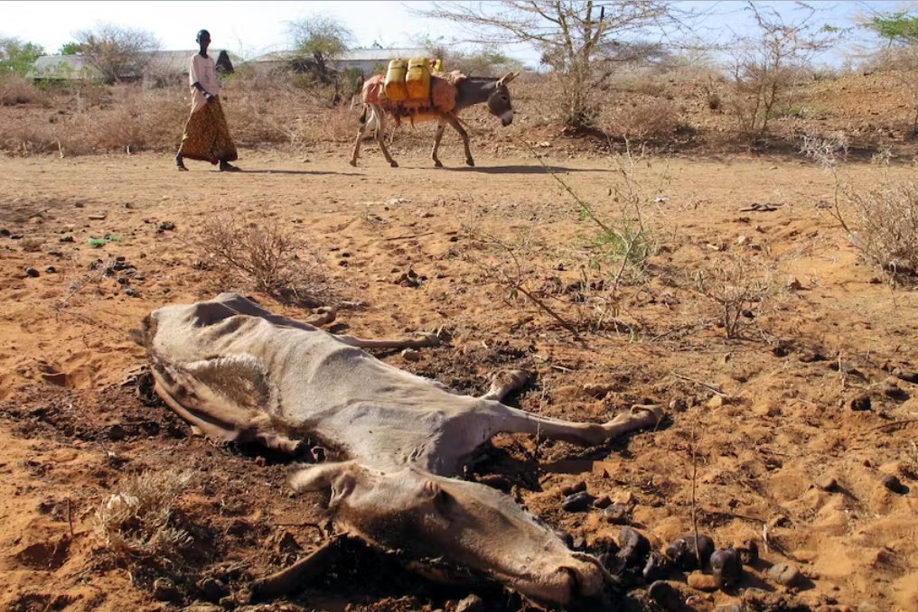 國(guó)際貨幣基金組織表示 氣候變化可能會(huì)增加沖突死亡人數(shù)