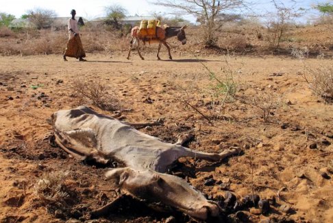 歐盟執(zhí)行官表示暫停對索馬里的援助付款