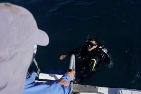 隨著海洋溫度飆升 古巴科學家尋找拯救珊瑚礁的線索