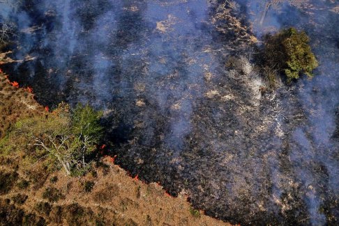 巴西潘塔納爾濕地的火災(zāi)激增至11月創(chuàng)紀(jì)錄水平