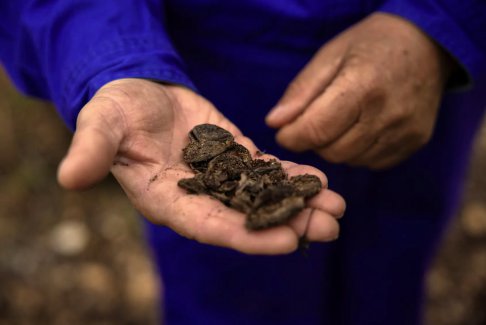 希臘湖泊洪水泛濫向應(yīng)對氣候變化的歐洲農(nóng)民發(fā)出警