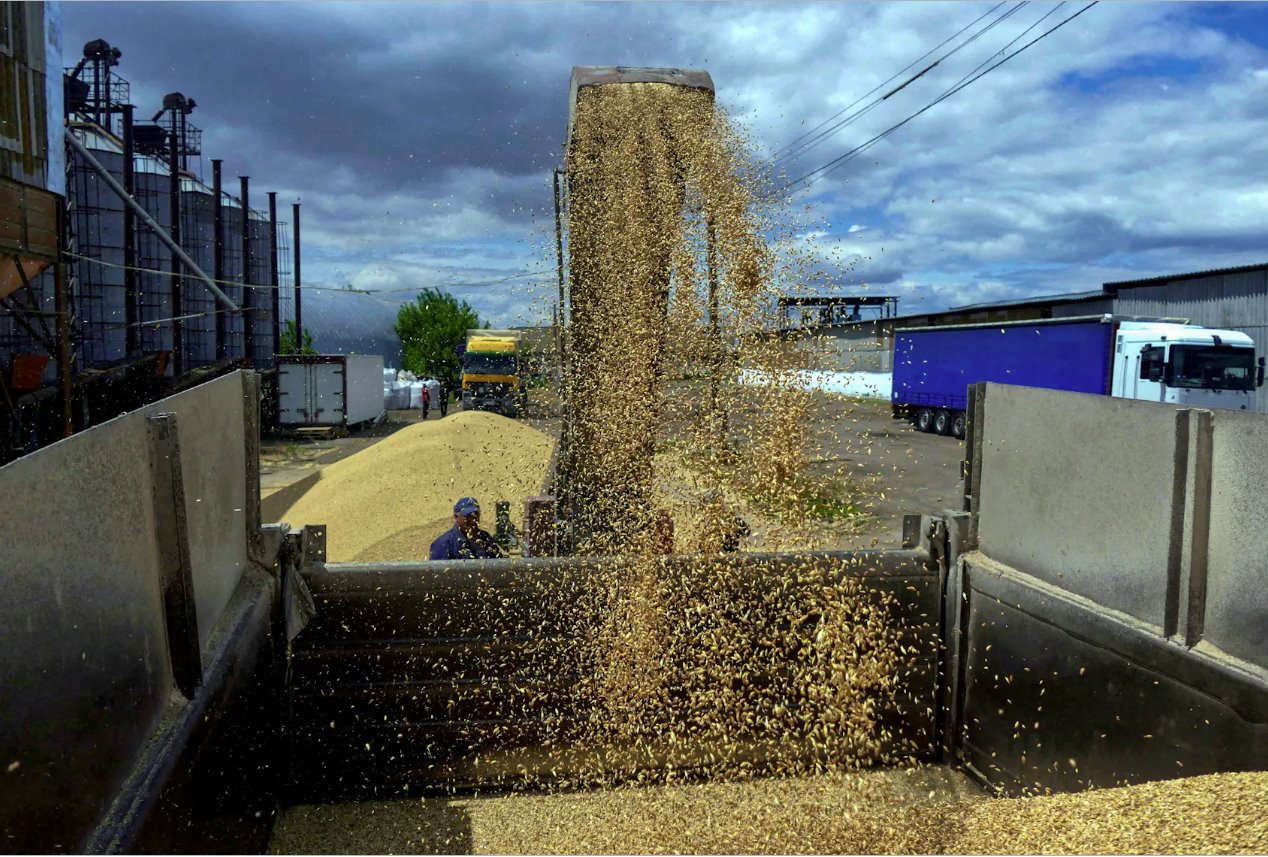 烏克蘭，2022年6月23日，俄羅斯對(duì)烏克蘭的攻擊仍在繼續(xù)，敖德薩地區(qū)大麥?zhǔn)崭钇陂g，一名工人在碼頭裝載谷物。