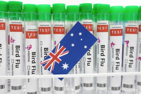 美國(guó)限制從澳大利亞維多利亞州進(jìn)口某些家禽