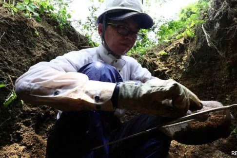 廣島原子彈爆炸80年后 仍在搜尋新島失蹤人員