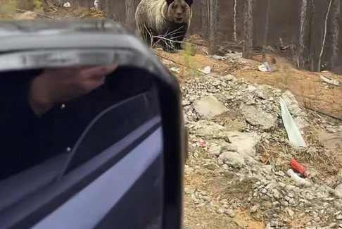 男子在大興安嶺遇棕熊 附近垃圾成片